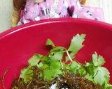 リカちゃん♡三つ葉ともずくの酢のモン風作り方6写真
