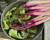 簡単・日野菜の塩漬け作り方1写真
