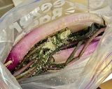 簡単・日野菜の塩漬け作り方3写真