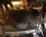 真空調理・鶏の丸焼き クリスマスやBBQ作り方7写真