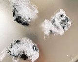 全てレンジ簡単柚子香る湯豆腐作り方6写真