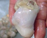 白菜ゼリー寄せ作り方13写真