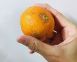 ピーラー人参とミカンで 簡単ラペ風サラダ作り方4写真