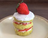犬用 ネイキッドケーキ作り方11写真