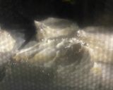 パブロバ〜簡単リース仕立て作り方3写真