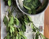 自家製ベイリーフ（乾燥月桂樹）作り方1写真