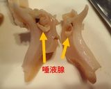 オオエッチュウバイの塩茹で作り方7写真