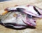 一夜干し（セトダイ編）作り方2写真