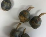定番 くわいの煮物(おせち)作り方2写真