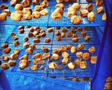 青梅で作った梅干し作り方12写真