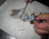 イカの塩辛　～甲イカ編～作り方16写真