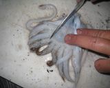 イカの塩辛　～甲イカ編～作り方20写真