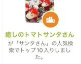 癒しのトマトサンタさん作り方15写真