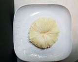 辛くない!菊花かぶ~柚子風味の甘酢漬け作り方15写真