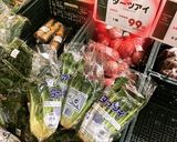 タァサイと厚揚げとえび煮作り方9写真