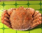 冷凍毛蟹の浜ゆで風作り方1写真