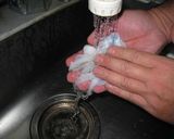 イカの塩辛　～甲イカ編～作り方33写真