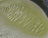 青豆豆乳作り方8写真