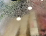 究極の無水すき焼き作り方11写真