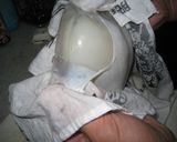 イカの塩辛　～甲イカ編～作り方36写真