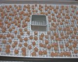 無添加　胸肉小粒作り方5写真
