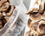 お年寄り絶賛シリーズ☆椎茸菌から椎茸☆作り方1写真