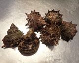 サザエの塩茹で作り方1写真