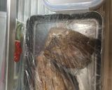 NZで本格ローストビーフ(3日)外国の肉作り方26写真