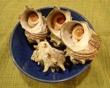 サザエの塩茹で作り方6写真