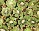 キウイのアップサイドダウンケーキ作り方3写真