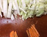 白菜大量消費！白菜とにんじんの塩サラダ作り方1写真