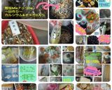 ～簡単～おせち★☆★アラカルト9品★☆★作り方10写真
