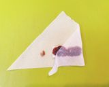 お餅あんこ巻き 〜春巻きの皮で〜作り方3写真