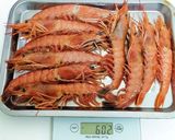 エビの紹興酒蒸し作り方1写真