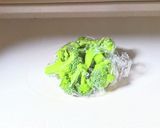 ささみとマッシュルームのアヒージョ作り方1写真