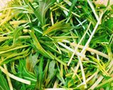 レディーサラダ大根と水菜の和風サラダ作り方3写真