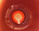 サクサクアップルパイ作り方3写真