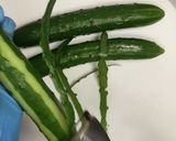胡瓜の胡麻ナンプラー和え作り方1写真
