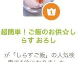 ご飯のお供☆しらす （じゃこ）おろし作り方4写真