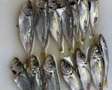 小鯵ときのこの中華風甘酢漬け作り方5写真