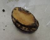 アワビのウニソース焼き作り方1写真