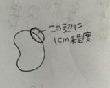 そら豆の塩茹で作り方1写真