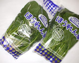 ほうれん草胡麻和え♪簡単基本目の疲れ作り方1写真
