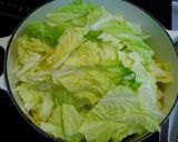 ヘルシー！白菜と鶏もも肉のピリ辛煮！作り方6写真