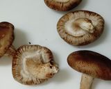 おつまみ椎茸作り方1写真