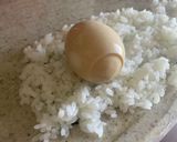 俺流！好みの具材で…おにぎらずサンド作り方16写真