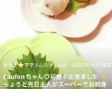 手毬寿司♡作り方5写真