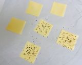 3分で完成！レンチン♪チーズせんべい4種作り方1写真
