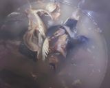 我が家のしもつかれ(しみつかれ)作り方1写真