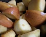 ストゥブ鍋でりんご煮作り方1写真